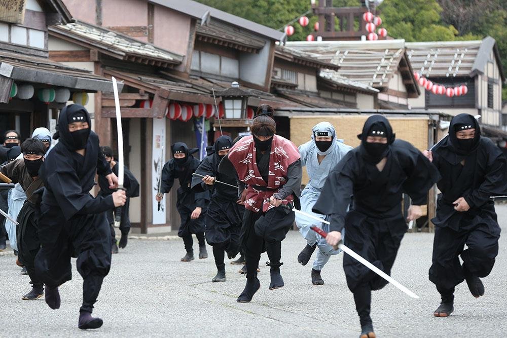 🥷 이세 닌자 킹덤(토모이키노쿠니 이세닌자킹구다무) 이미지 8